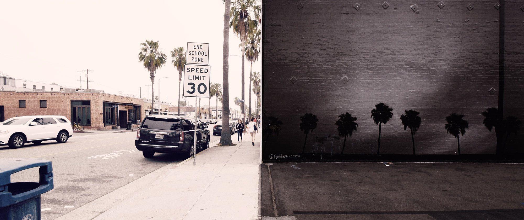 Abbot Kinney Mural
, Venice