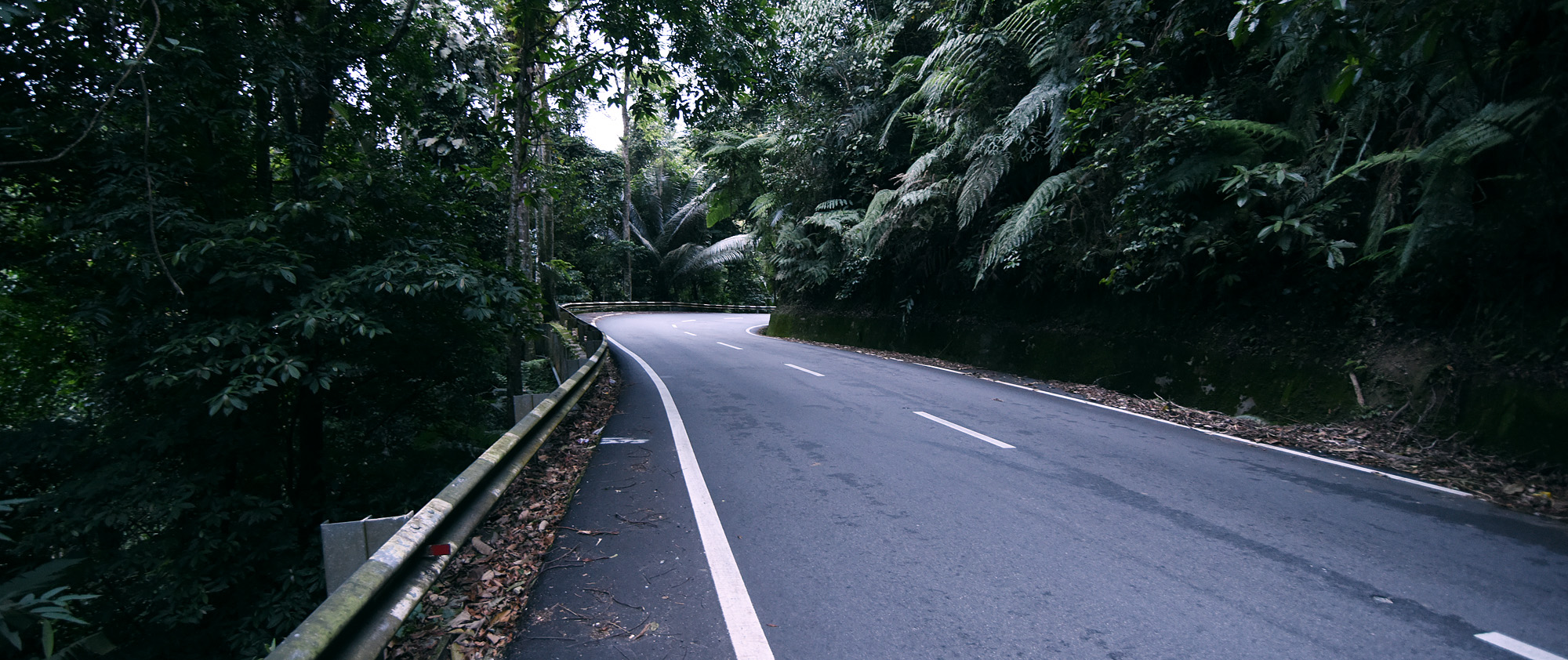 Cameron Highlands
, Malaysia