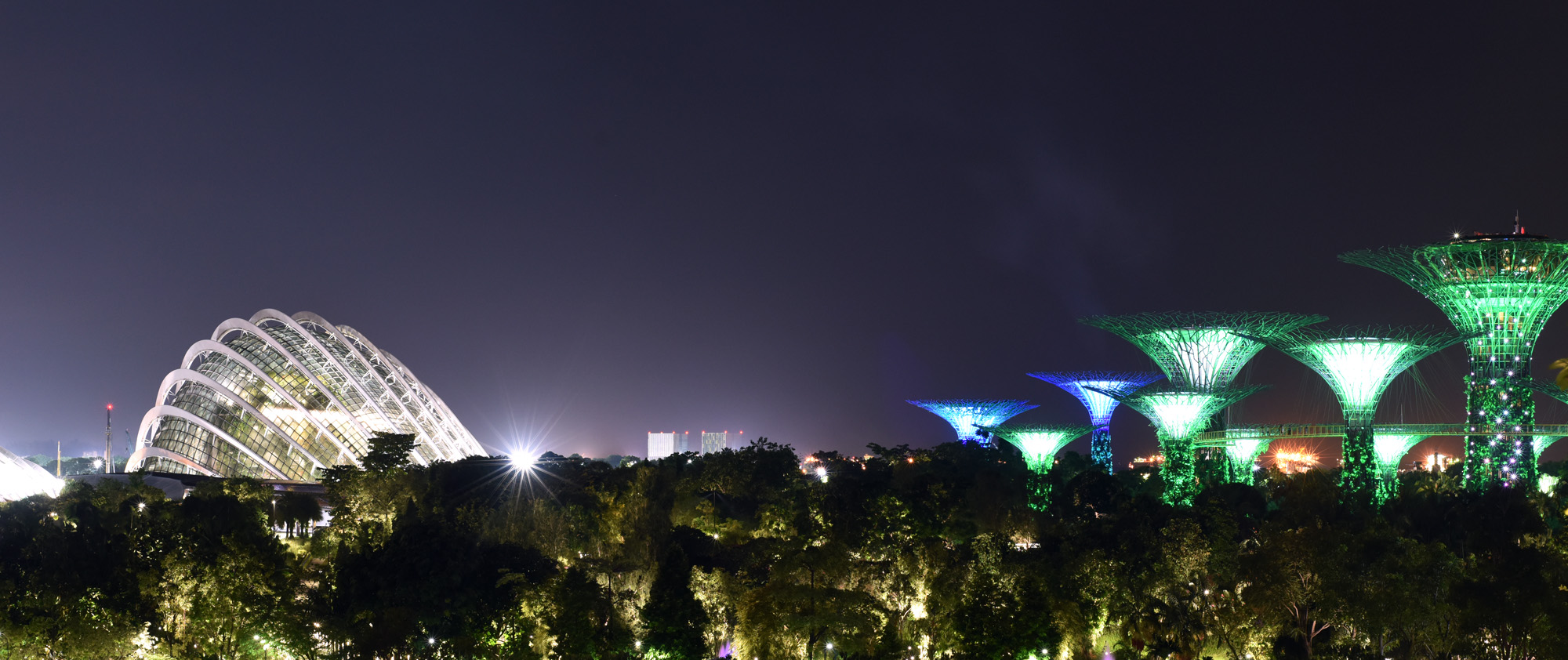 Supertree Grove
, Singapore