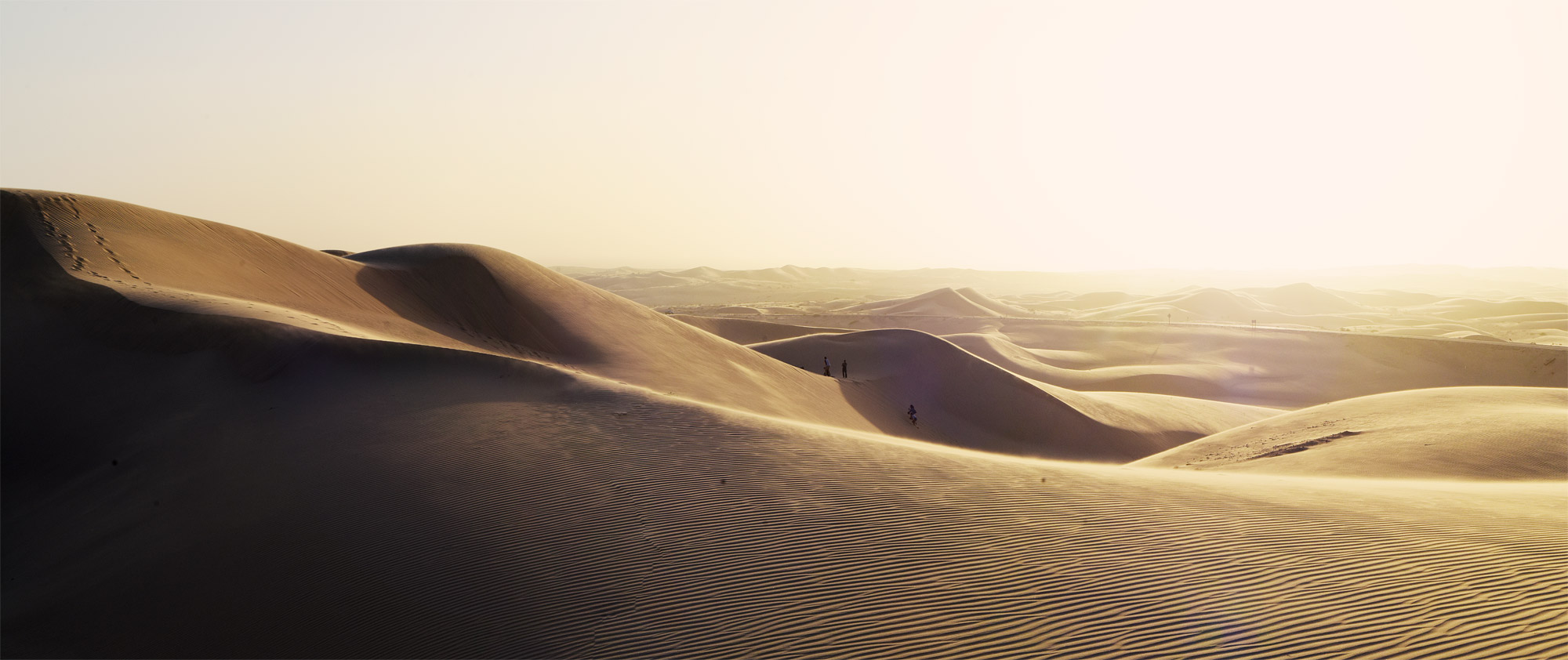 North Algodones Dunes
, California