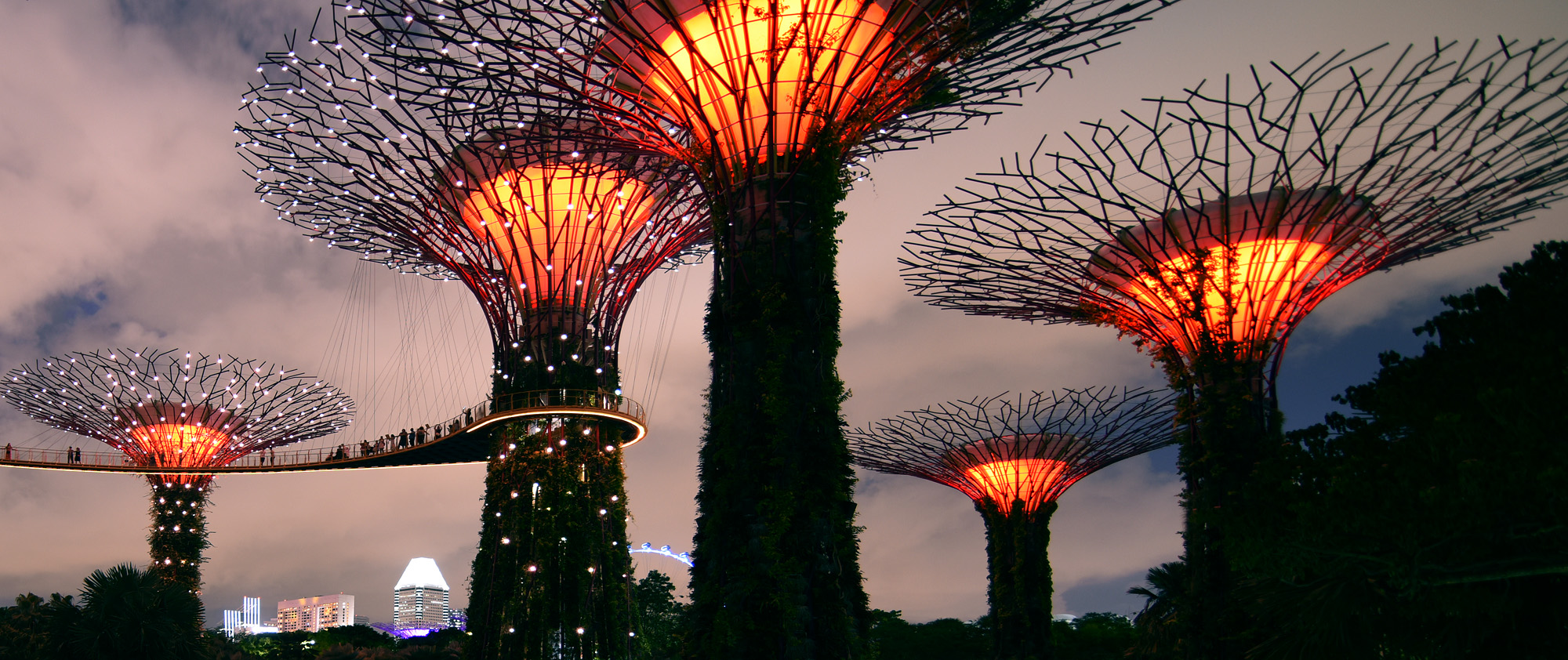 Supertree Grove
, Singapore