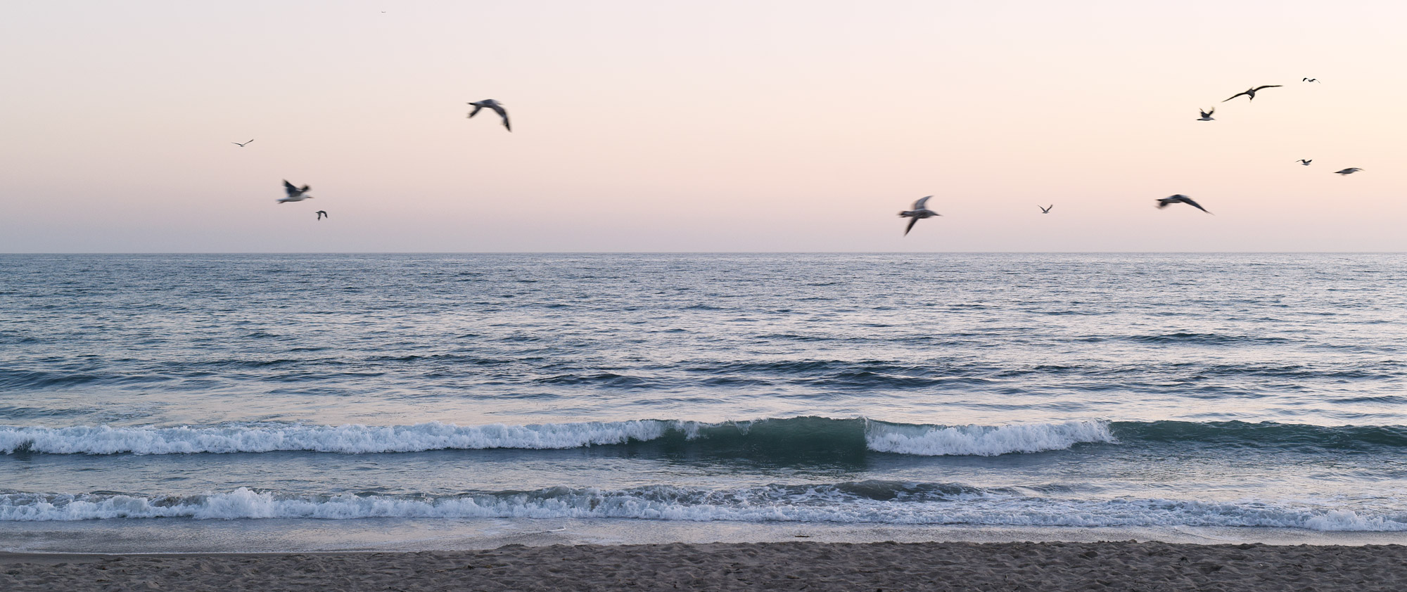 Venice Beach