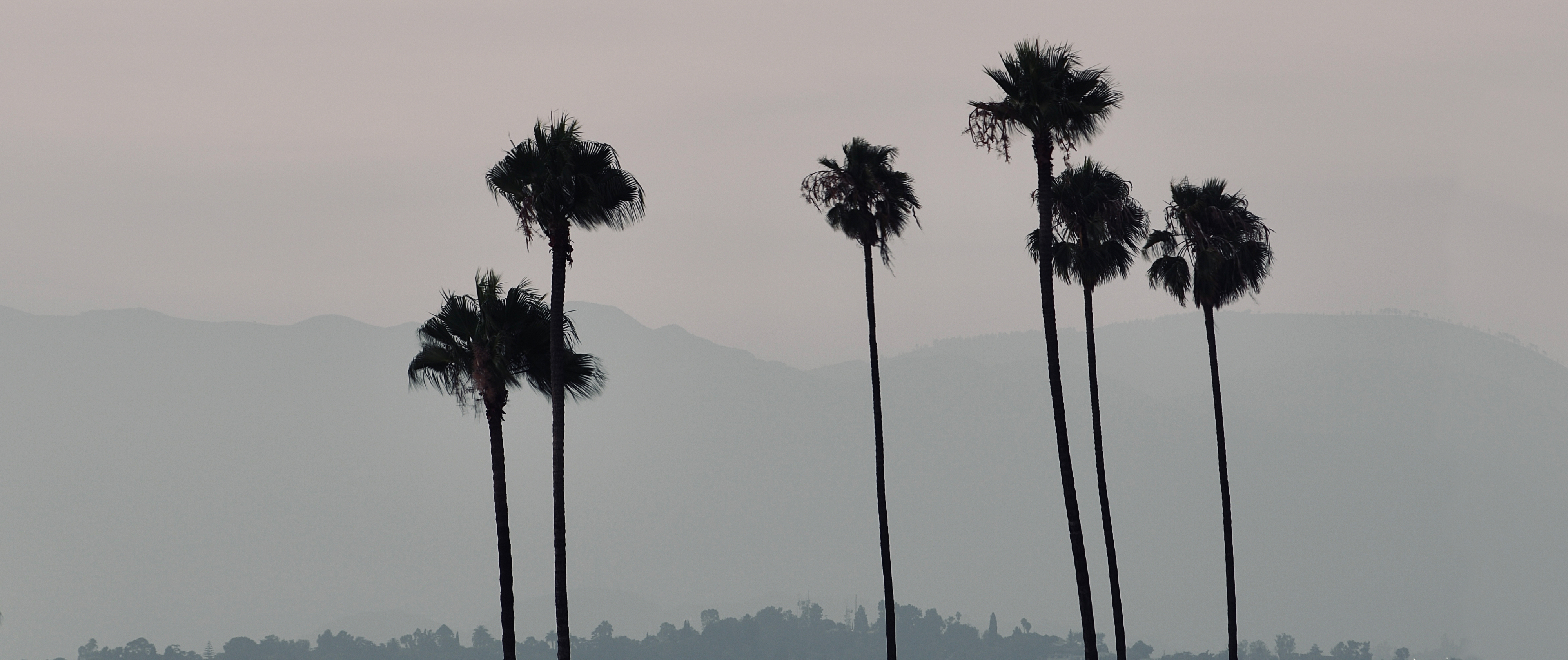 Los Angeles
, California