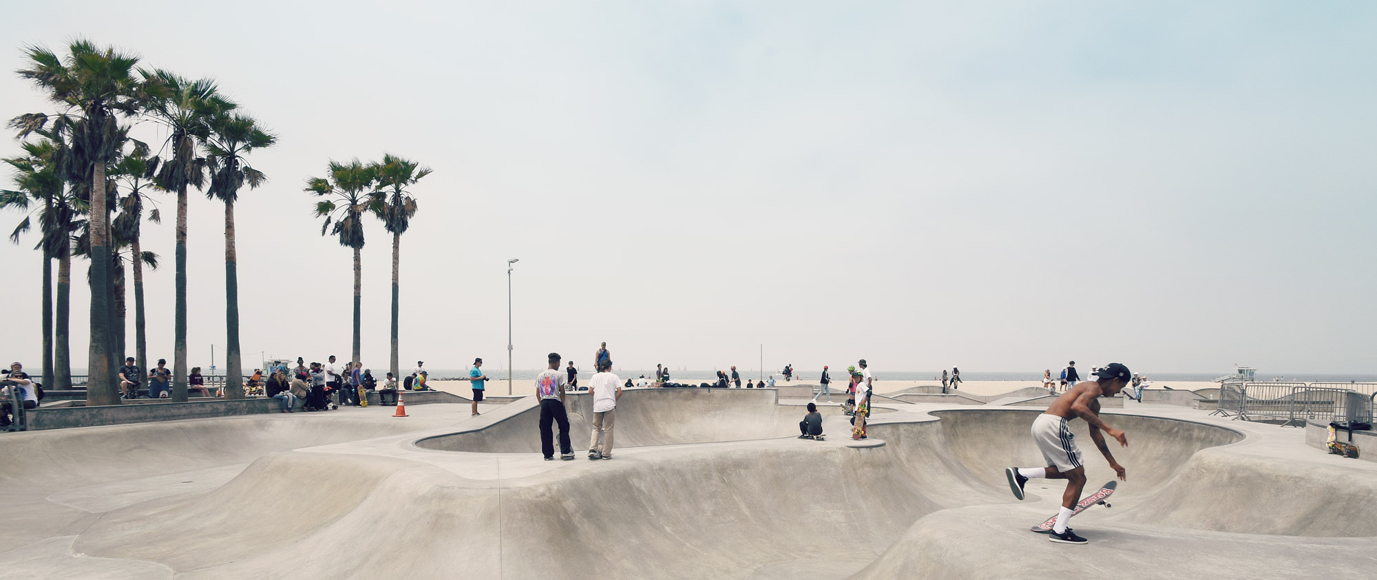 Venice Skate Park