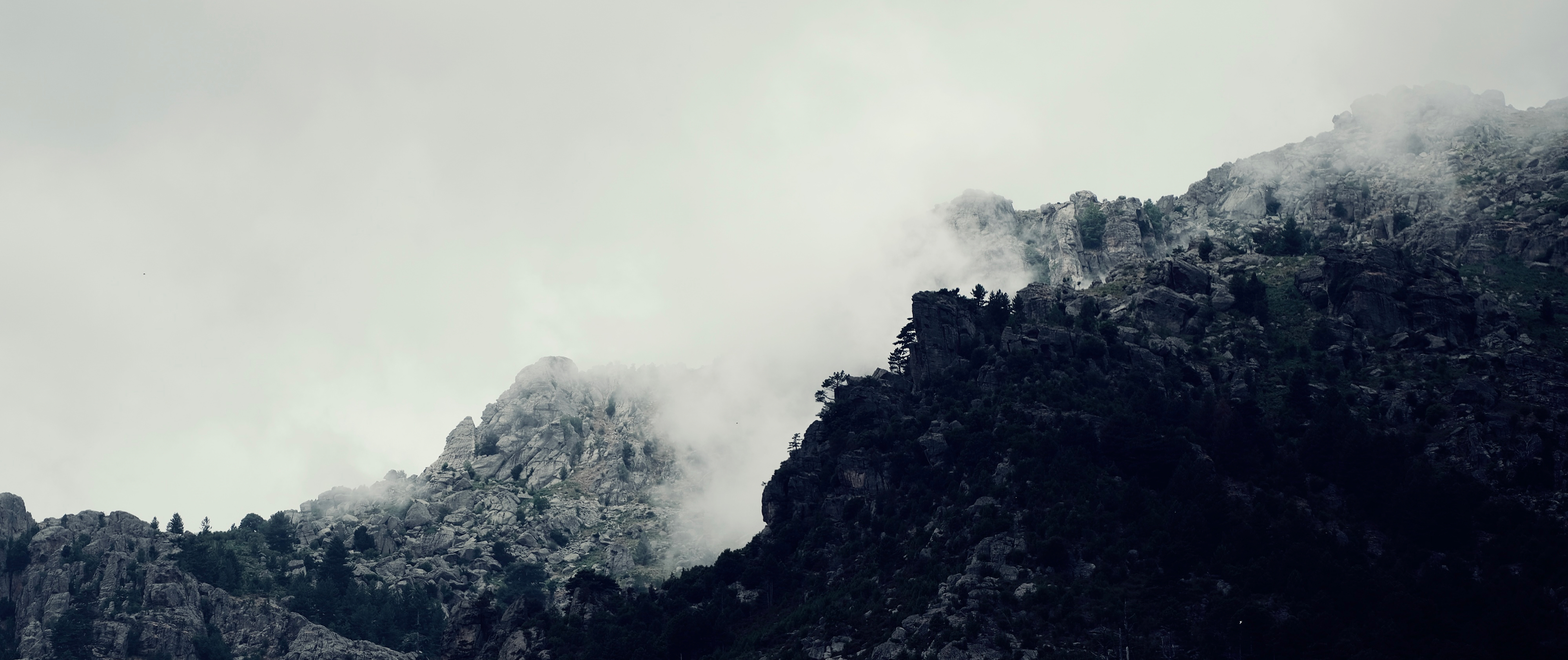 Venaco
, Corsica
