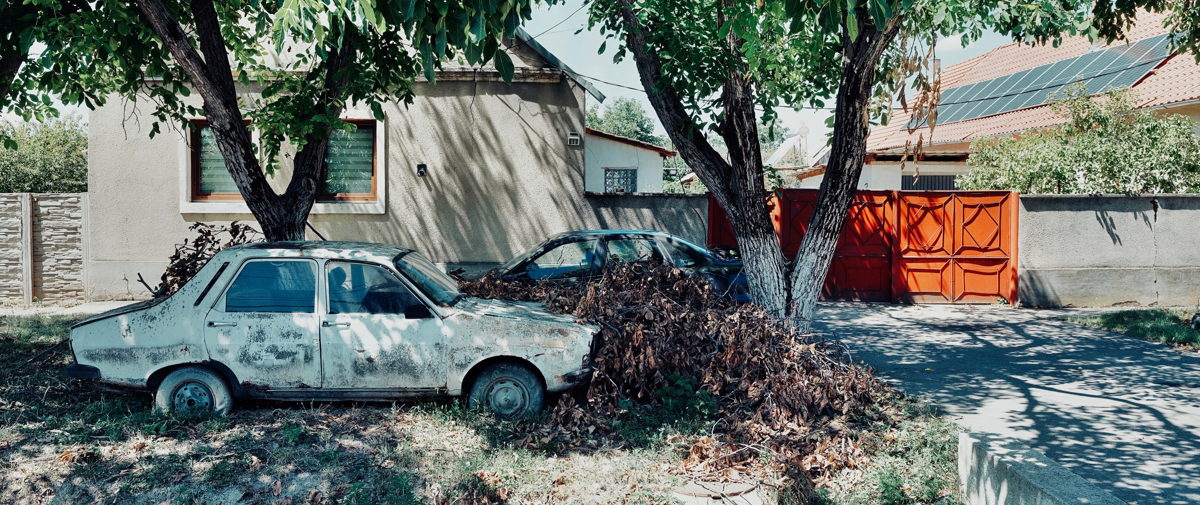 Liebling
, Banat
, Romania